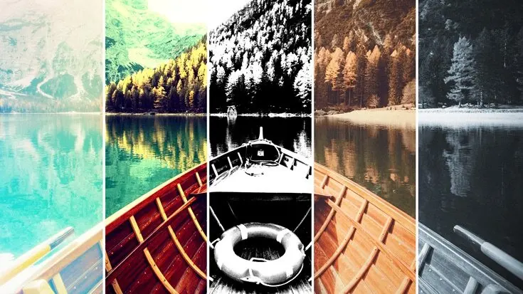 Immagine 4