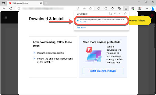Bitdefender