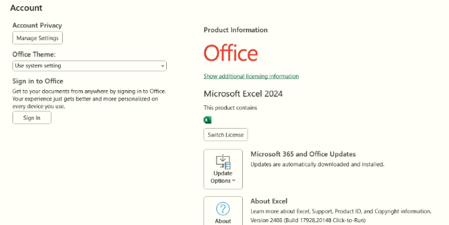 Excel 2024 Windows