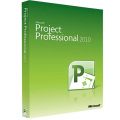 Project Professional
