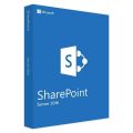 SharePoint Server