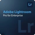 Adobe Lightroom - Pro per enterprise, image 