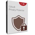 Gilisoft Privacy Protector, image 