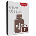 Gilisoft USB Lock, image 