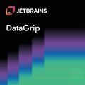 Jetbrains DataGrip, image 