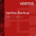 Veritas Backup Exec 22 Options, image 