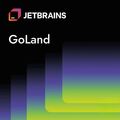 Jetbrains GoLand, image 