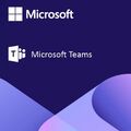 Teams Enterprise, image 