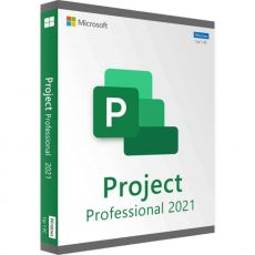 Project Professional 2021, image 