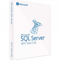 SQL Server 2017 - 20 User CALs, Client Access Licenses: 20 CALs, image 