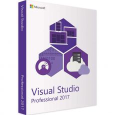 Visual Studio Professional