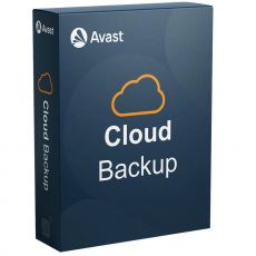 Avast Business Cloud Backup 2023-2024