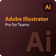 Adobe Illustrator - Pro for Teams, Runtime: 1 anno, Users: 1 User, image 