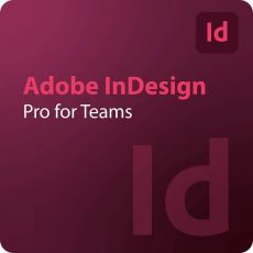 Adobe InDesign - Pro for Teams, Runtime: 1 anno, Users: 1 User, image 