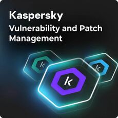 Kaspersky Vulnerability and Patch Management, image 
