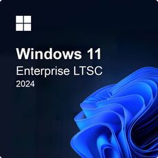 Windows 11 Enterprise N LTSC 2024, image 