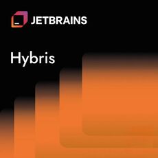 Jetbrains Hybris, image 