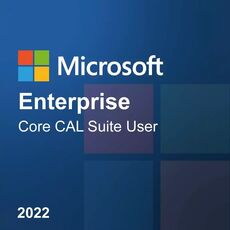 Microsoft Enterprise Core CAL Suite User 2022, image 