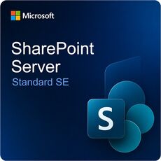 Microsoft SharePoint Server Standard SE, image 