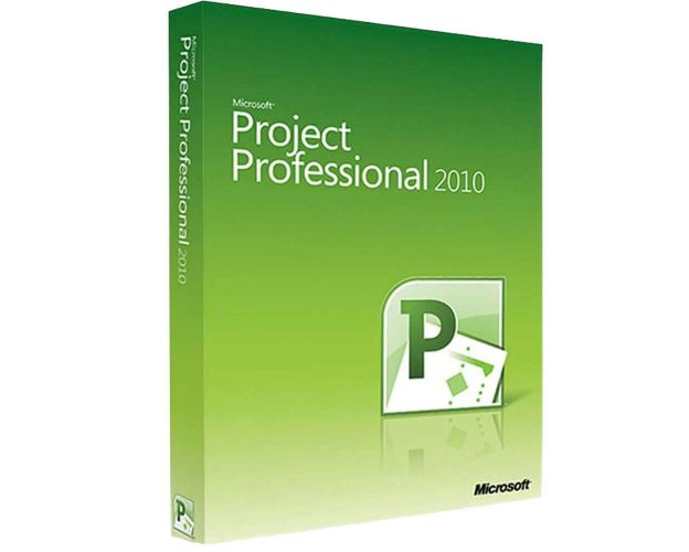 Project Professional 2010, image 
