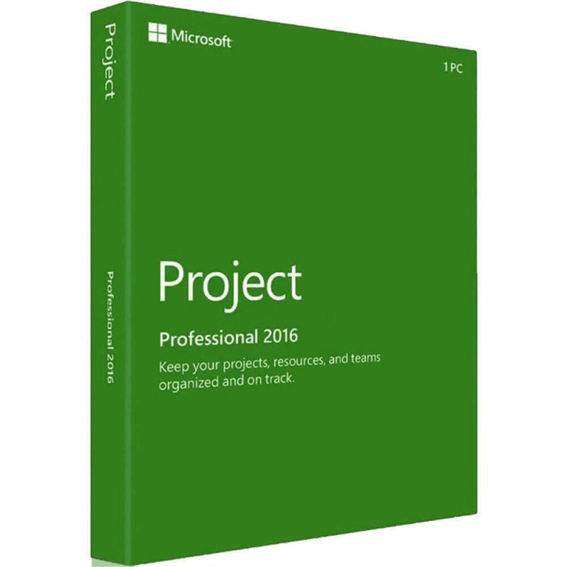 Project Professional