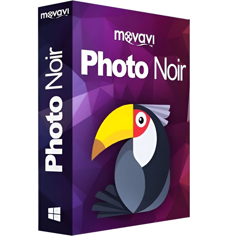 photo-noir