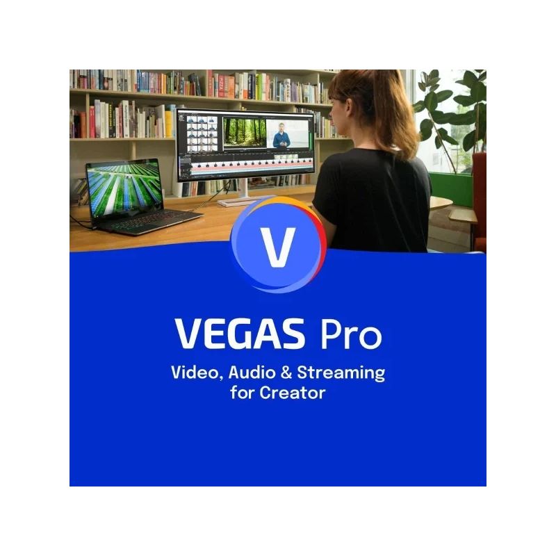 VEGAS Pro 20, image 