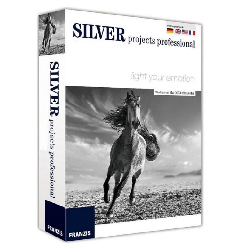 Silver projects professional