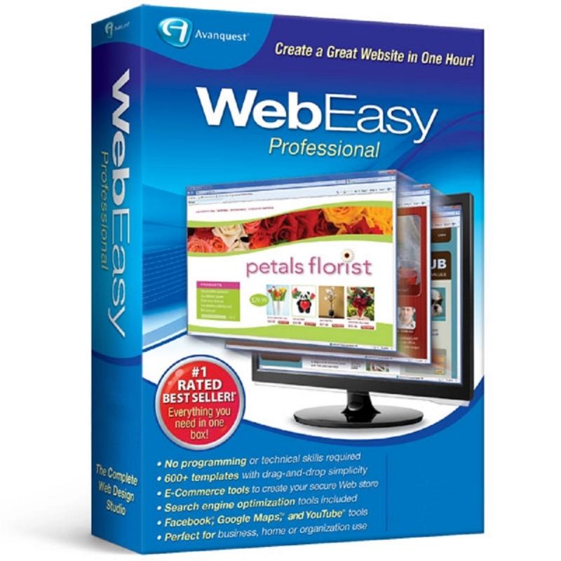 WebEasy Professional 10