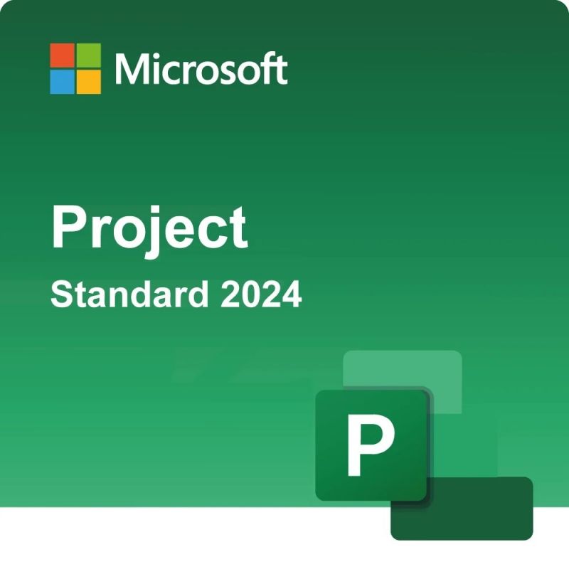 Microsoft Project Standard 2024, image 
