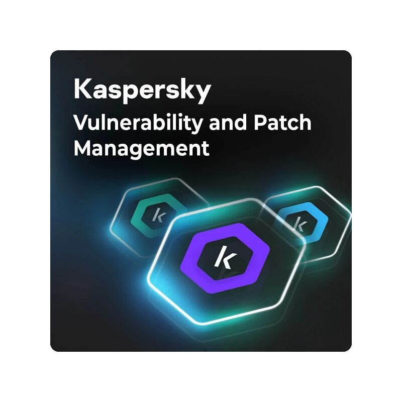 Kaspersky Vulnerability and Patch Management, image 
