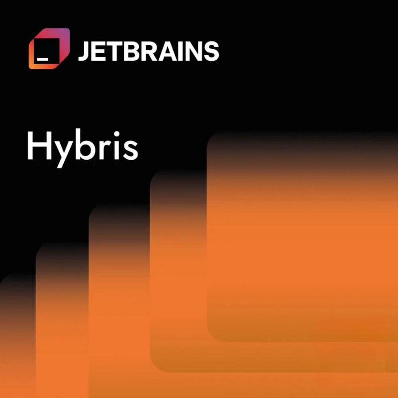 Jetbrains Hybris, image 